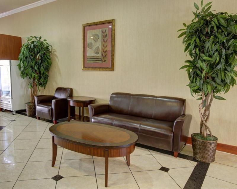 Comfort Near Texas State Hotel San Marcos